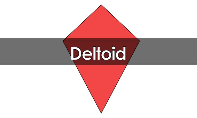 Deltoid
