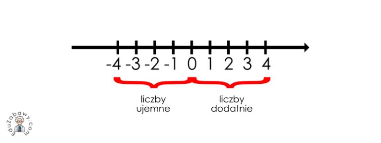 Liczby ca?kowite ujemne: definicja co to jest dla dzieci, ciekawostki