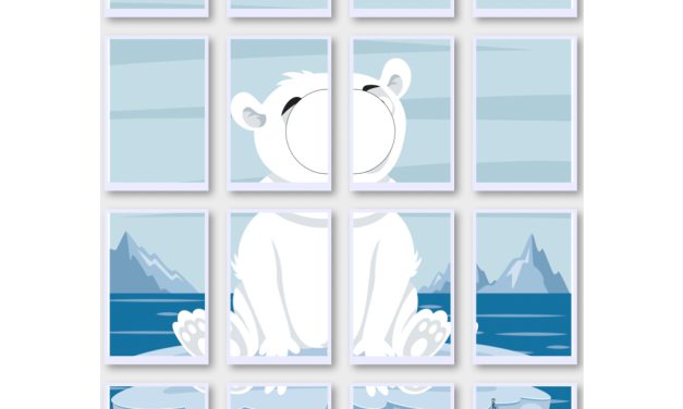 Fotobudka: Niedźwiedź polarny
