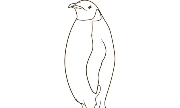 Kolorowanka: Dorosły pingwin