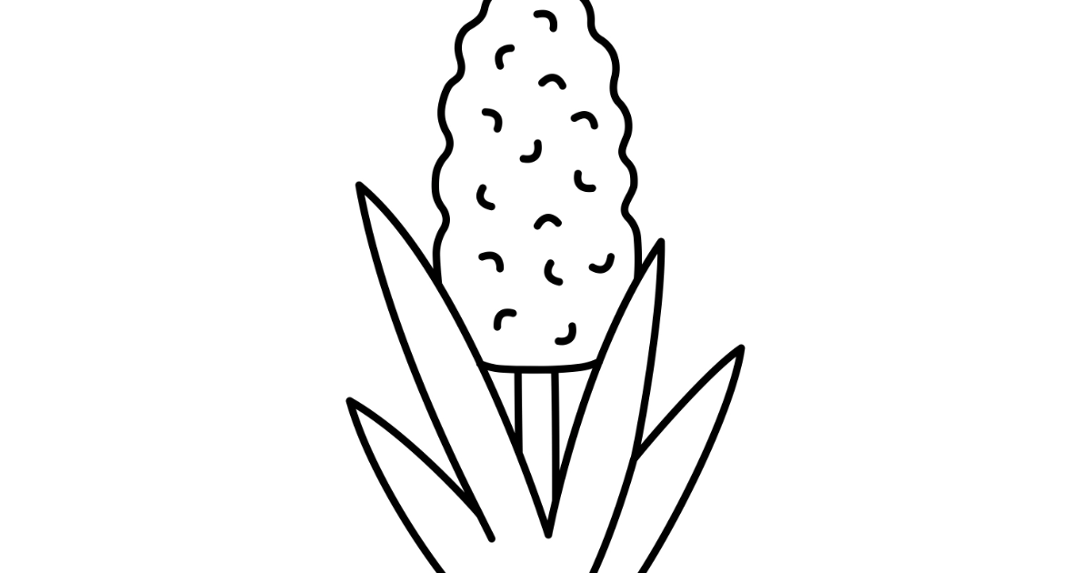 Szablon do prac plastycznych: Hiacynt