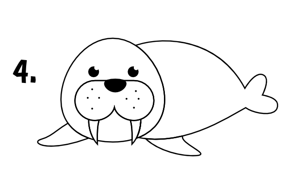 Jak narysować fokę