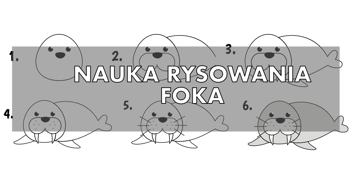 Jak narysować fokę