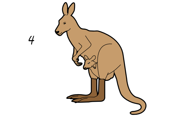 Jak narysować kangura