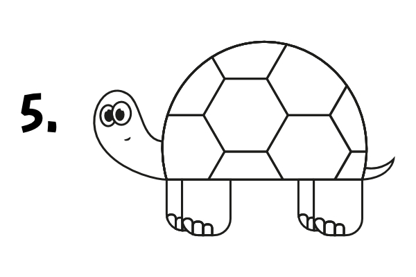 Jak narysować żółwia