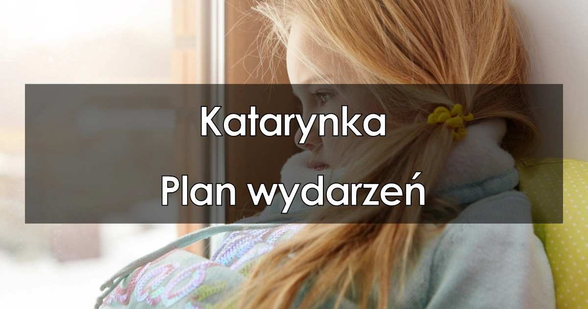 Lektura: Katarynka – plan wydarzeń