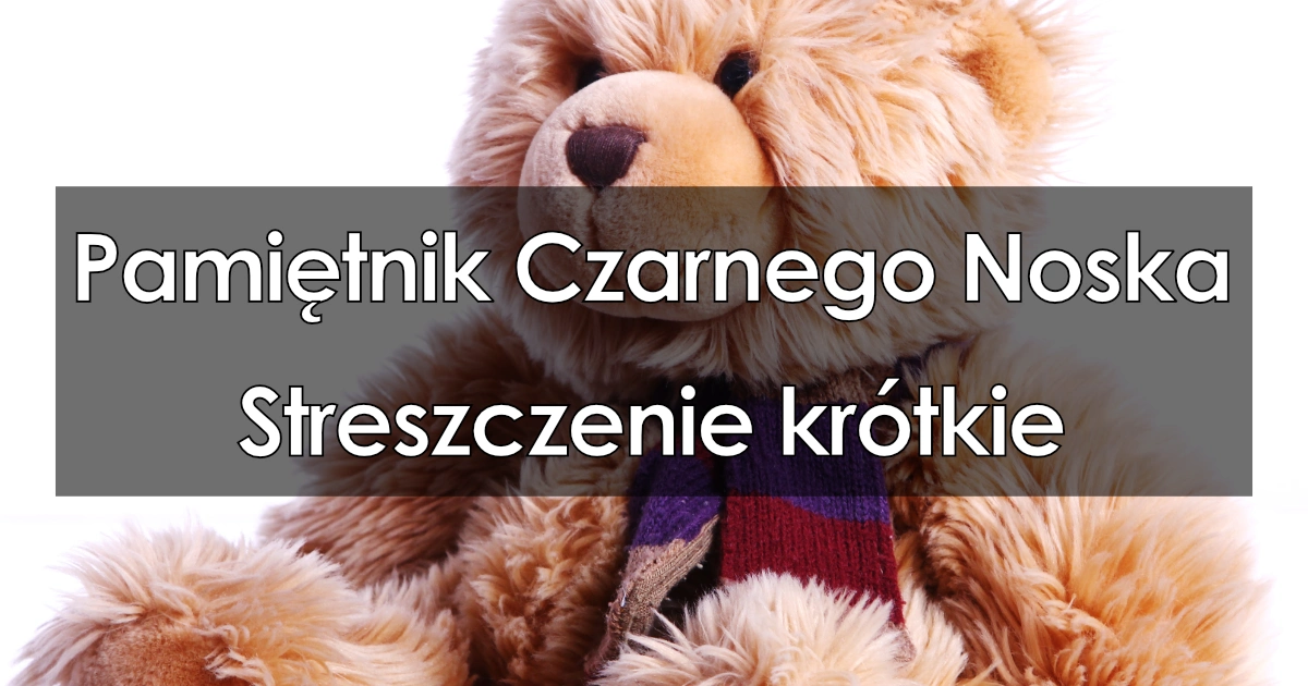 Lektura: Pamiętnik Czarnego Noska – krótkie streszczenie