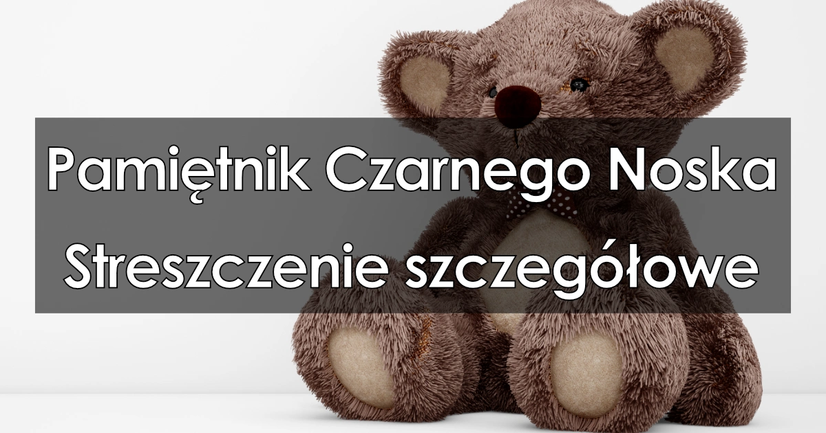 Lektura: Pamiętnik Czarnego Noska – streszczenie szczegółowe
