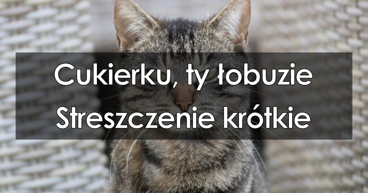Lektura: Cukierku, ty łobuzie – krótkie streszczenie