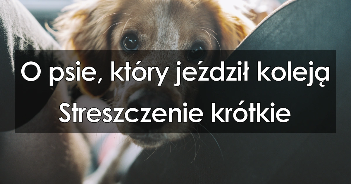 O psie, który jeździł koleją - krótkie streszczenie, najważniejsze