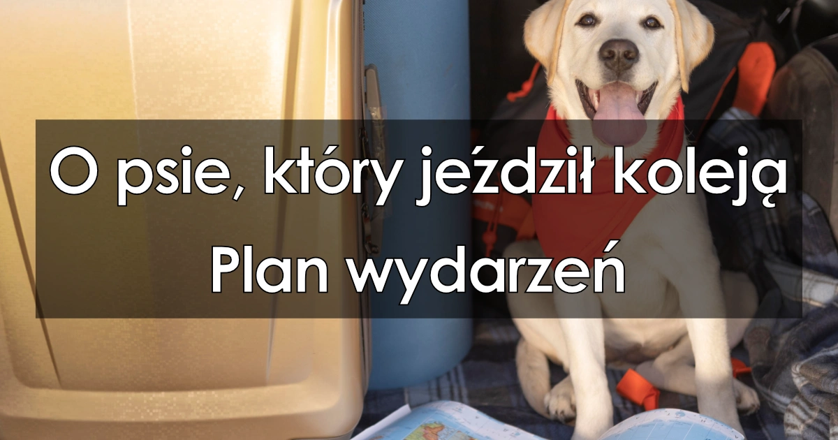 Plan Wydarzeń O Psie Który Jeździł Koleją