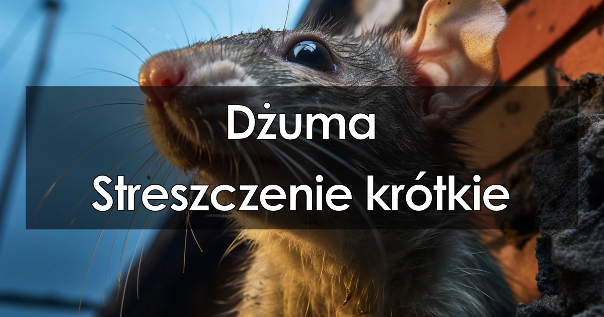 Lektura: Dżuma – streszczenie krótkie