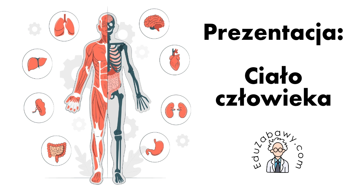 Prezentacja: Ciało człowieka
