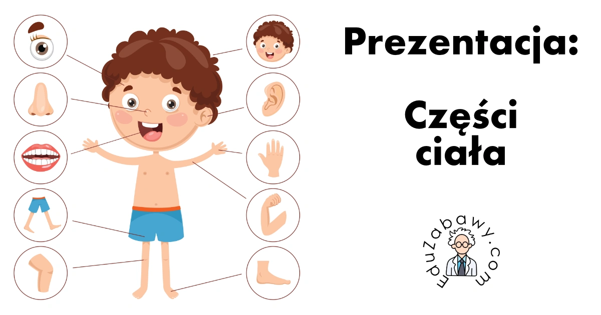 Prezentacja: Części ciała
