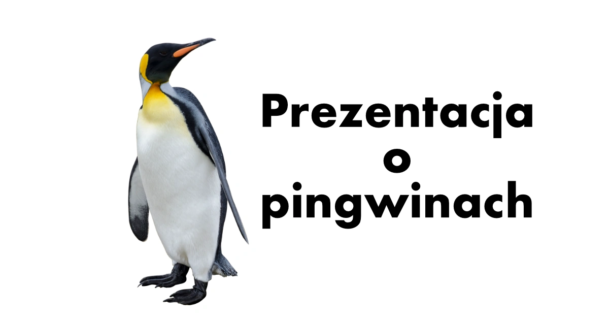 Prezentacja o pingwinach