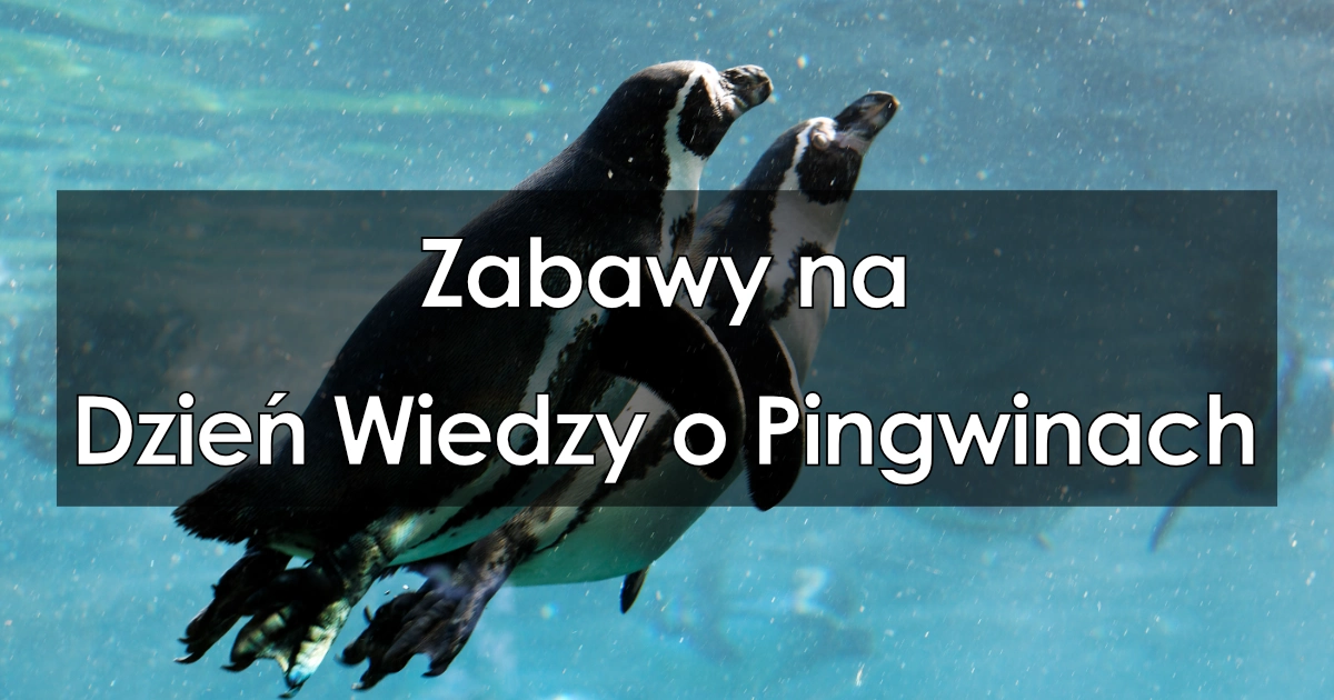 Zabawy na Dzień Wiedzy o Pingwinach
