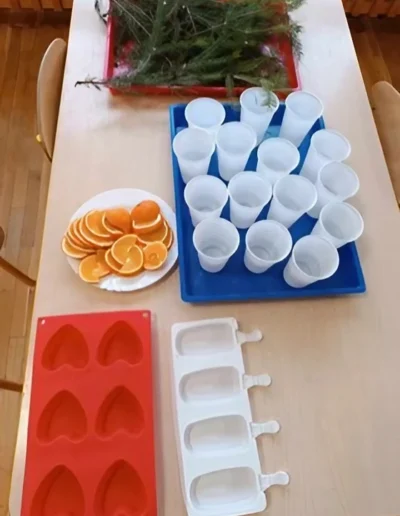 Praca plastyczna: Lodowe medaliony 1