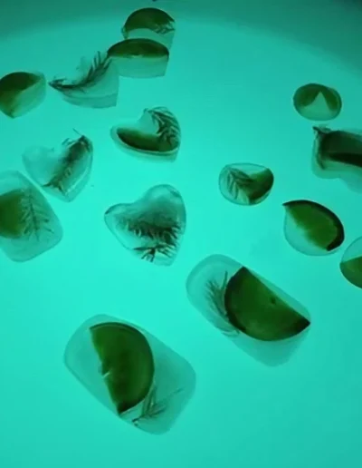 Praca plastyczna: Lodowe medaliony 12