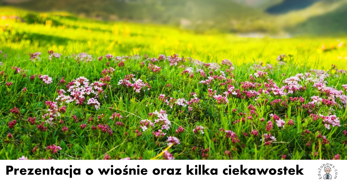 Prezentacja o wiośnie oraz kilka ciekawostek