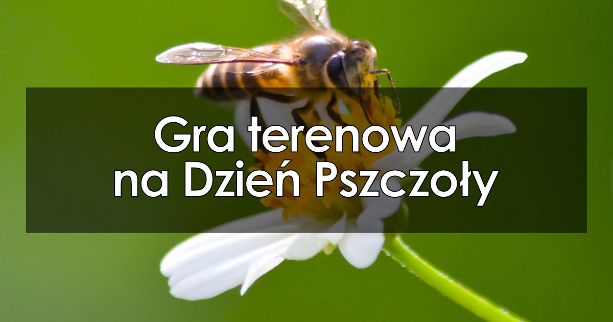Gra terenowa na Dzień Pszczoły