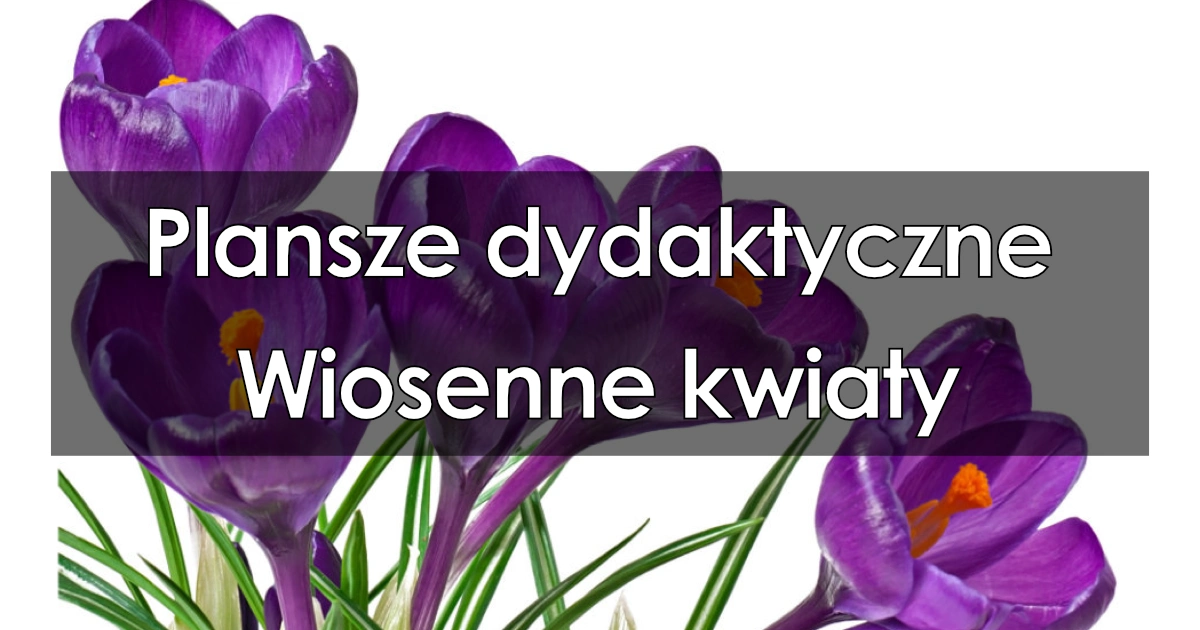 Plansze dydaktyczne: Wiosenne kwiaty