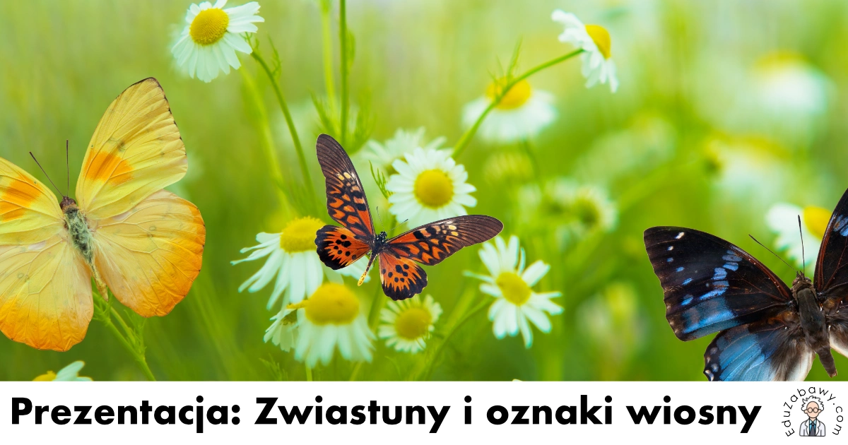 Prezentacja: Zwiastuny i oznaki wiosny