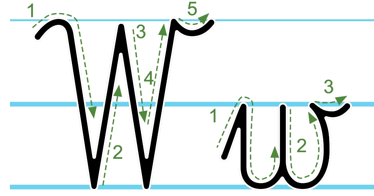 Plansza edukacyjna: litera W z kierunkiem pisania