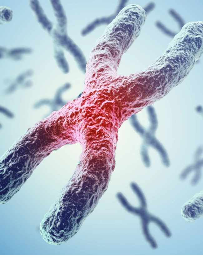 Quiz: Podziały komórkowe