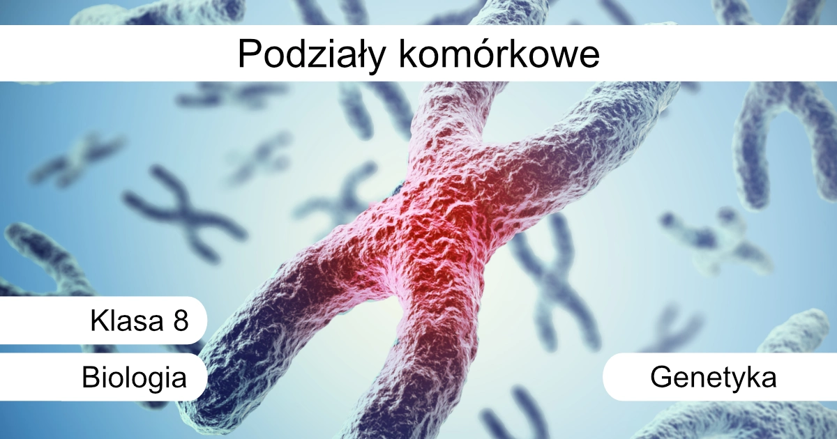 Quiz: Podziały komórkowe