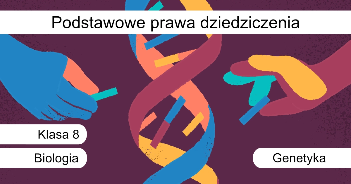 Quiz: Podstawowe prawa dziedziczenia