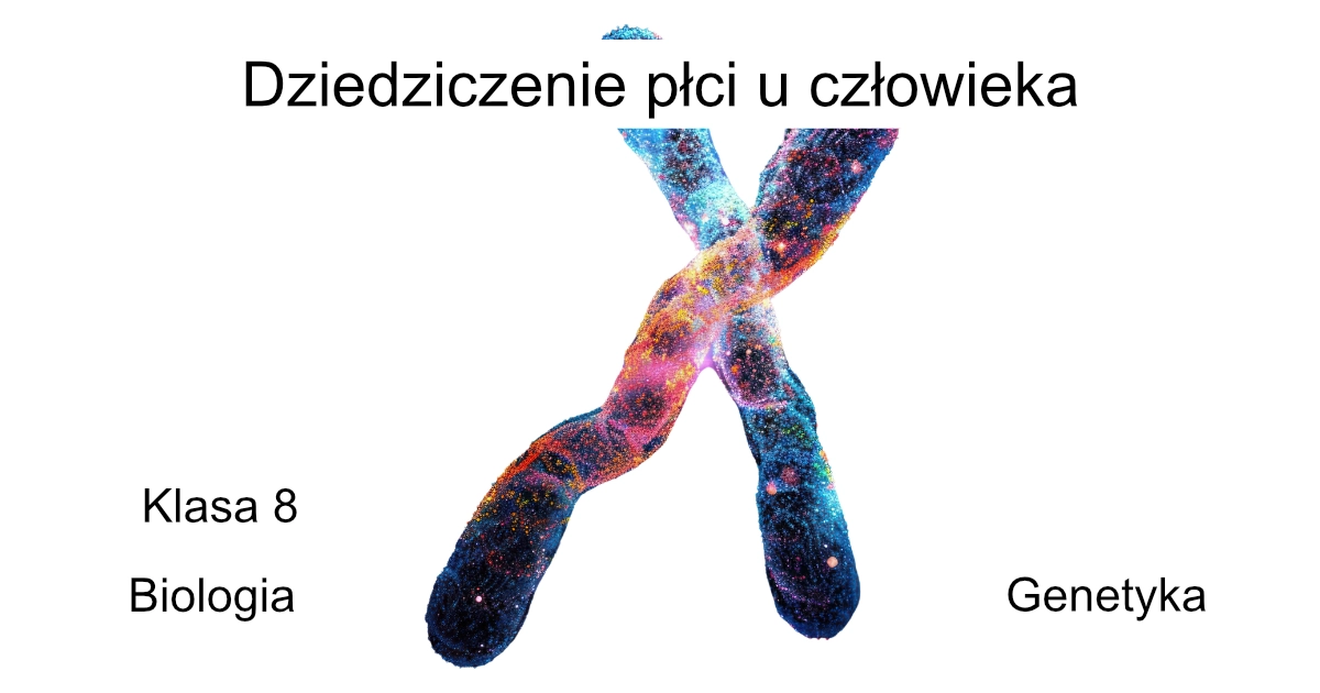 Quiz: Dziedziczenie płci u człowieka