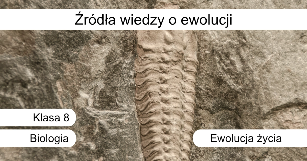 Quiz: Źródła wiedzy o ewolucji