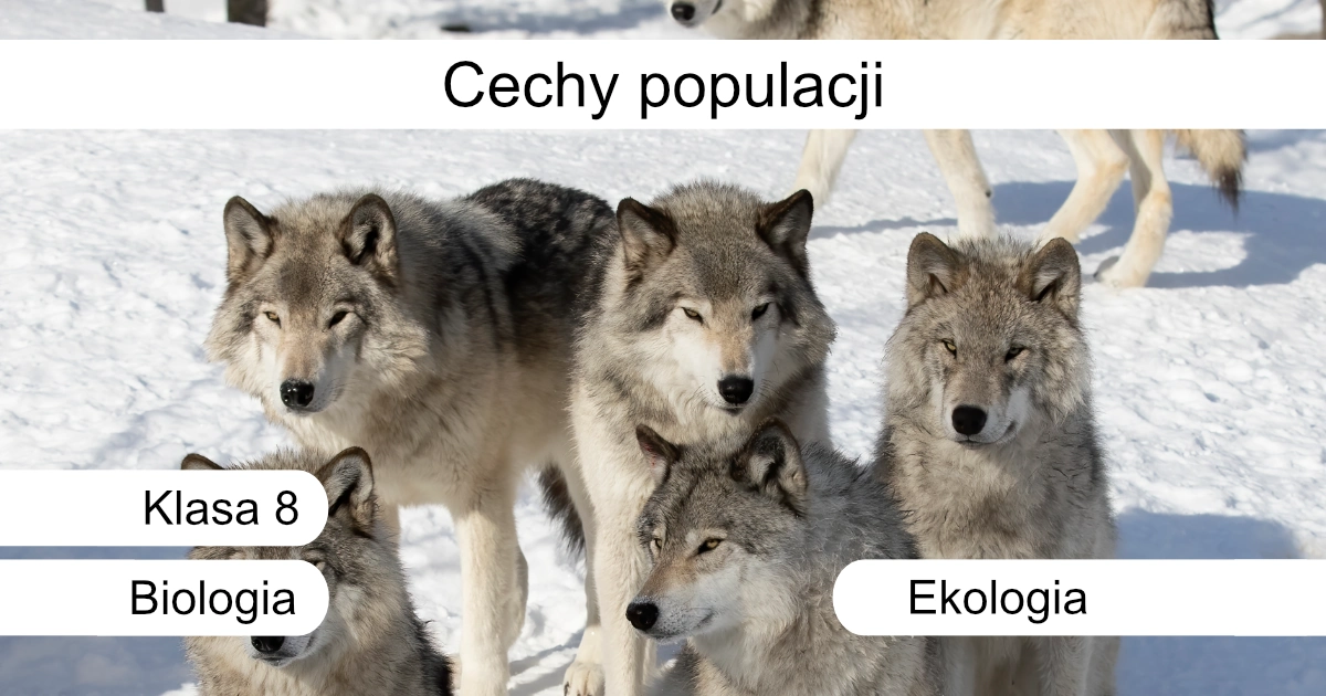 Quiz: Cechy populacji