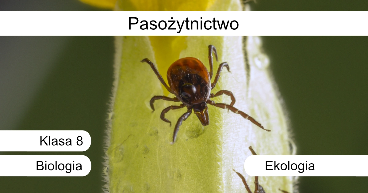 Quiz: Pasożytnictwo