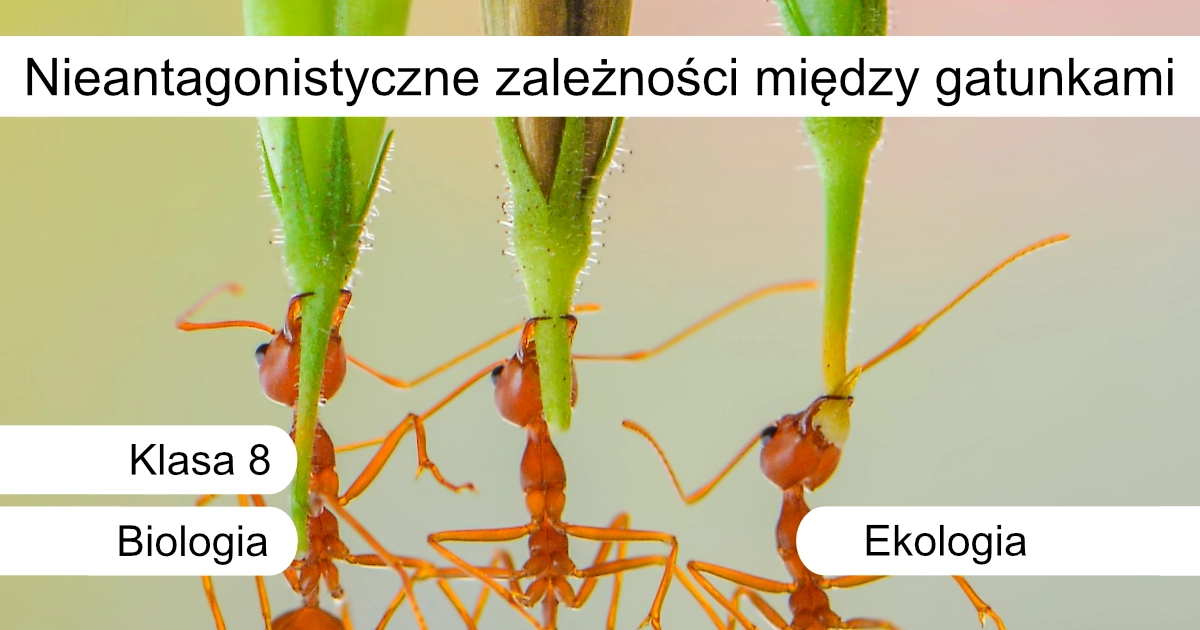 Quiz: Nieantagonistyczne zależności między gatunkami