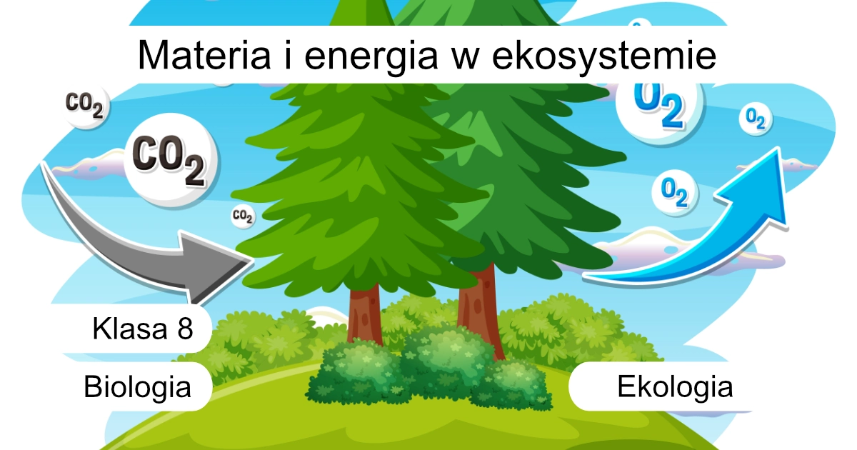 Quiz: Materia i energia w ekosystemie