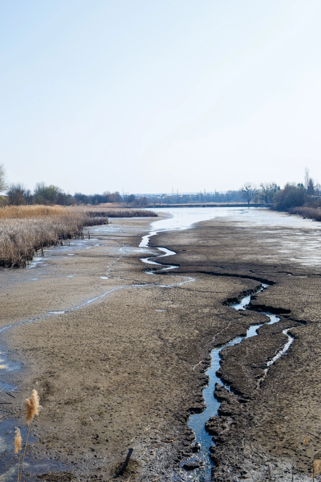 Quiz: Wpływ człowieka na różnorodność biologiczną