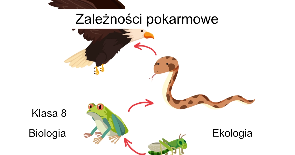 Quiz: Zależności pokarmowe