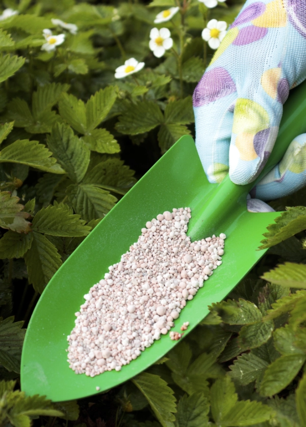 Quiz: Inne reakcje otrzymywania soli