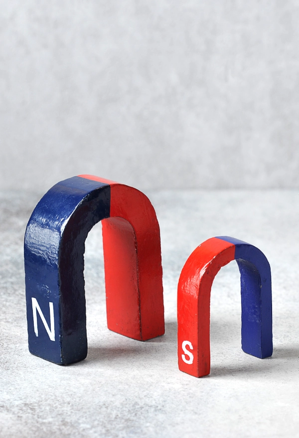 Quiz: Bieguny magnetyczne