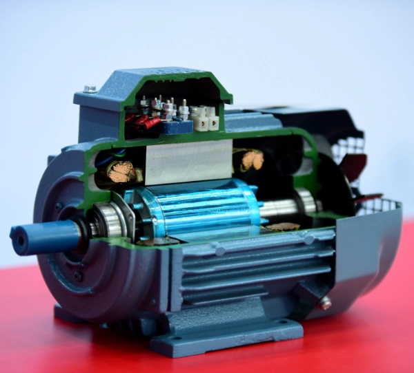 Quiz: Oddziaływanie magnetyczne a silnik elektryczny