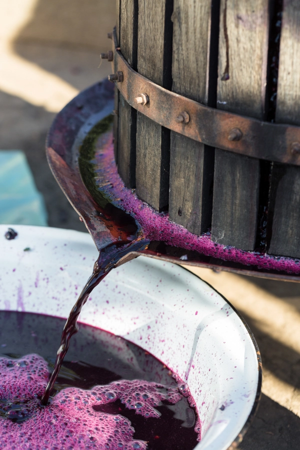 Quiz: Metanol i etanol – alkohole monohydroksylowe