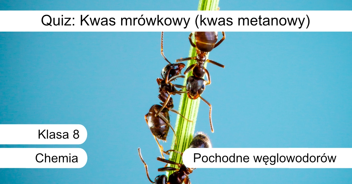 Quiz: Kwas mrówkowy (kwas metanowy)