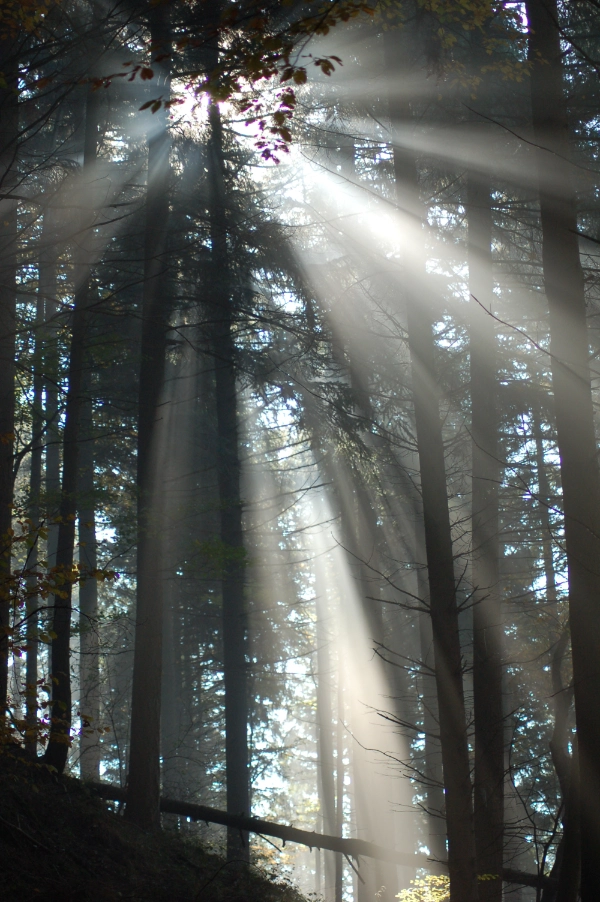 Quiz: Światło i jego właściwości