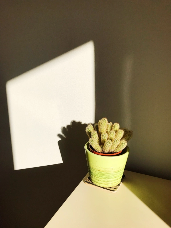 Quiz: Zjawiska cienia i półcienia