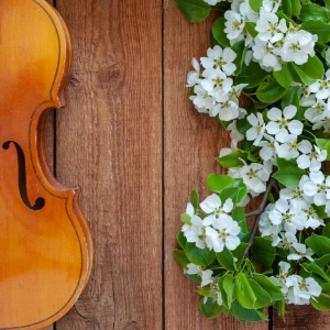 Quizy: Cztery pory roku – wiosna