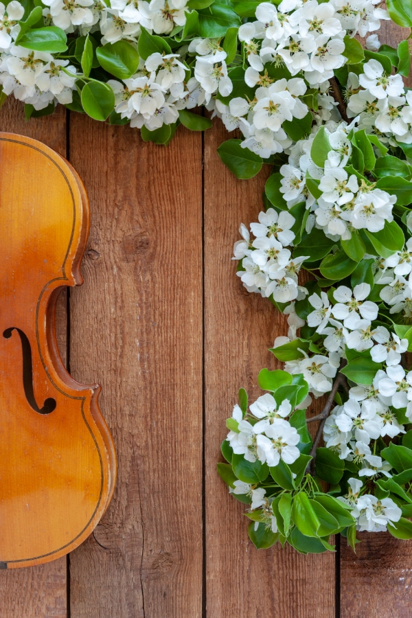 Quiz: Cztery pory roku: wiosna: Podsumowanie