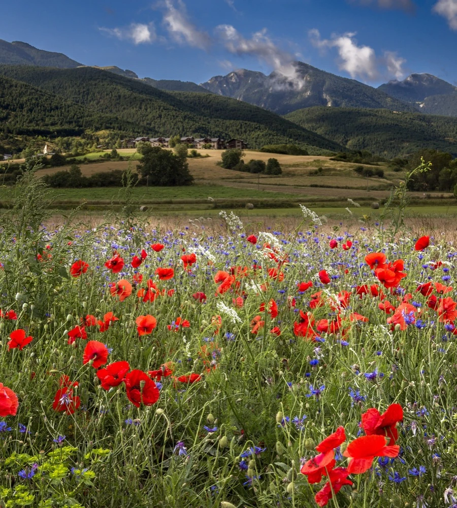 Quiz: Quiz z Geografii klasa 7: podsumowanie