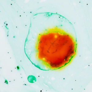 Quizy: Prawa i reakcje chemiczne