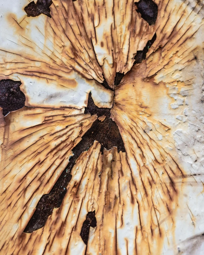 Quiz: Pozostałe składniki powietrza. Korozja